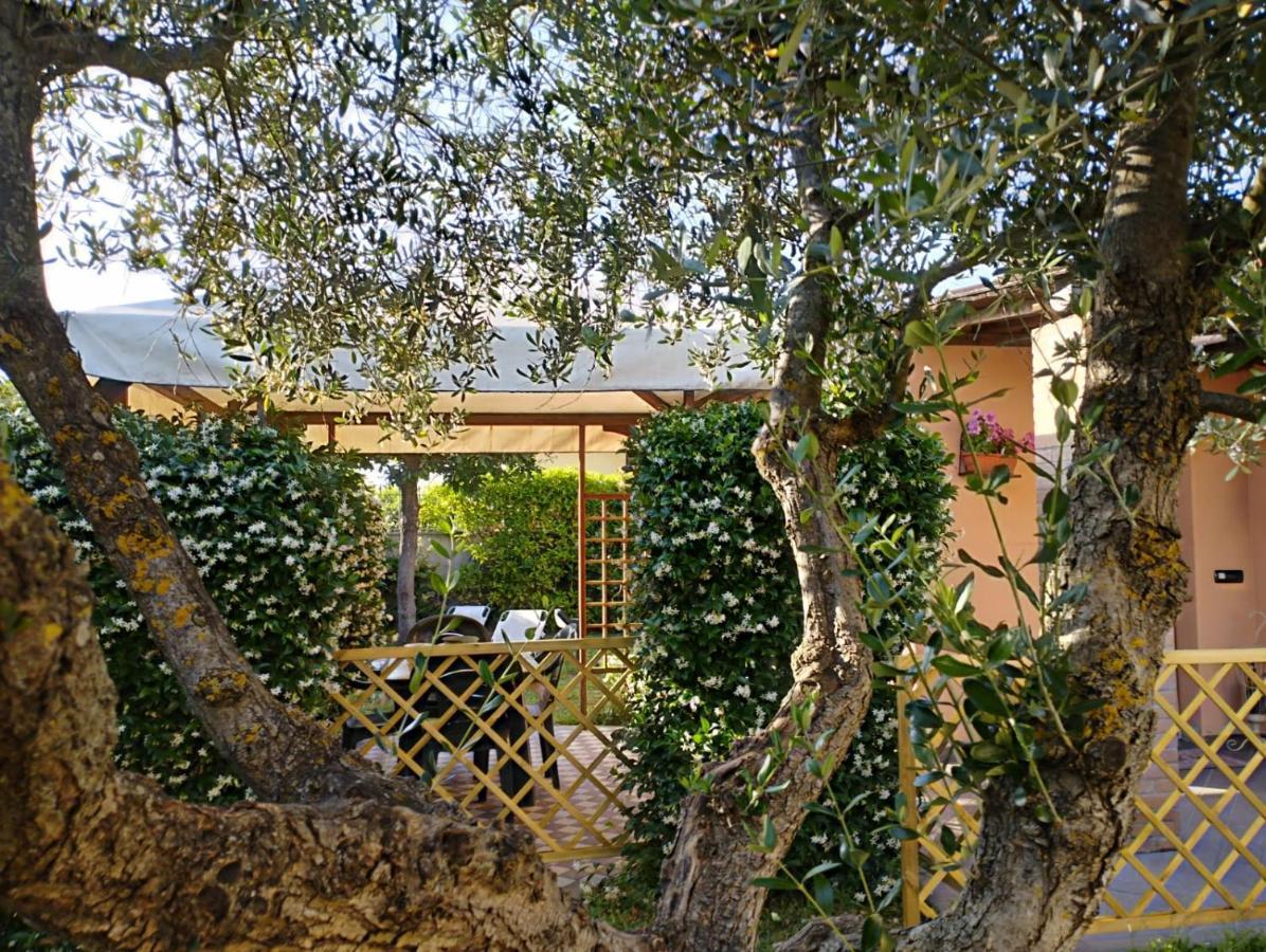 Melody House - Dependance Villa Castel del Bosco  Exterior foto