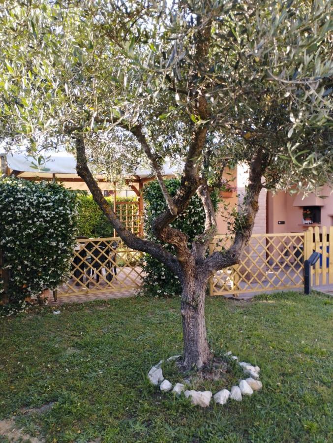 Melody House - Dependance Villa Castel del Bosco  Exterior foto
